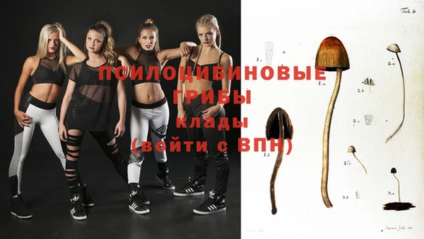 винт Липки