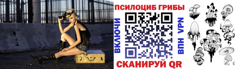 Галлюциногенные грибы Magic Shrooms  mega зеркало  Шали  купить наркотики сайты 